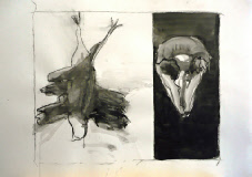 Nature morte tekening hangende vogel en vogelschedel